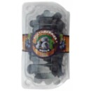 Mirtilo Southberries 100g