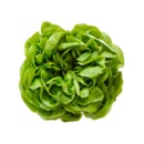 Alface Hidroponica Lisa Un