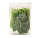 Salada Alface Romana Natural Salads