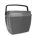 Caixa Termica Botafogo 26l Cinza