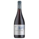 Vinho Chi Casas Del Bosque 750ml F.tto.s.pinot N