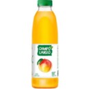 Suco Integral Campo Largo 900ml Manga Maca