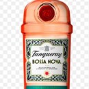 Gin Tanqueray 700ml Bossa Nova