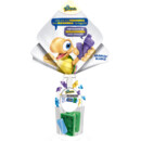 Ovo de Pascoa Tortuguita 100g Branca