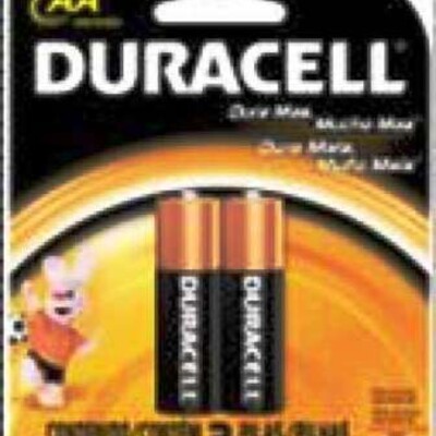 Pilha Alcalina Duracell 2un Npc Pequeno Aa