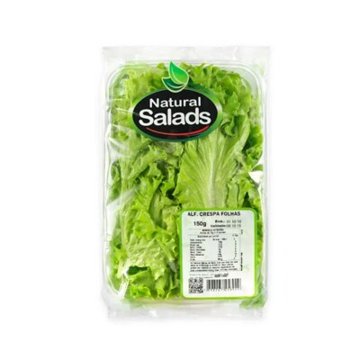 Salada Alface Crespa Natural Salads Roxa