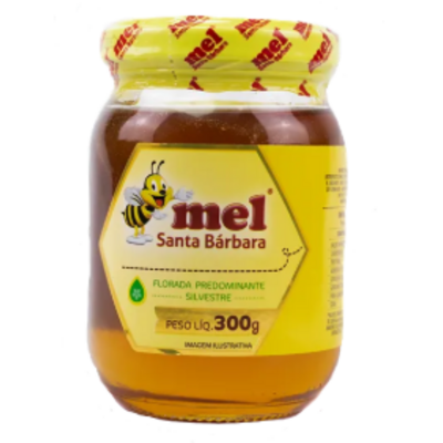 Mel Santa Barbara 300g Silvestre Vd