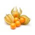 Physalis da Casa 100g