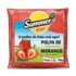 Polpa de Frutas Summer 100g Morango