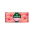 Biscoito Wafer Piraque 100g Morango