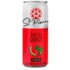 Suplemento Alim.st.pierre 310ml Red Mint