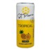 Suplemento Alim.st.pierre 310ml Tropical